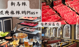 新馬辣經典麻辣鍋Plus台中公益店_台中美食餐廳推薦_和牛吃到飽_海鮮吃到飽_吃到飽火鍋推薦_台中西區公益路美食_台中火鍋_馬辣頂級麻辣鴛鴦鍋