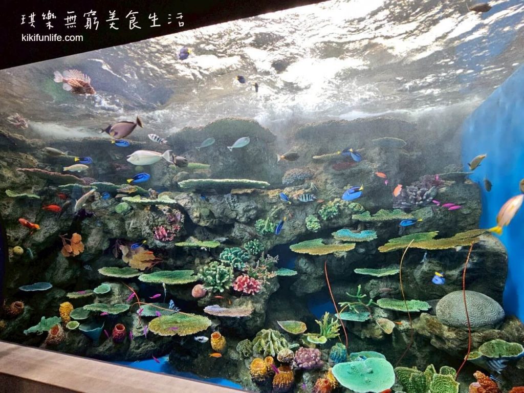 日本自由行_神戶景點地圖_神戶一日遊_神戶景點_神戶行程規劃_日本親子景點_神戶約會景點_神戶親子景點_兵庫神戶必去_神戶須磨海洋世界5