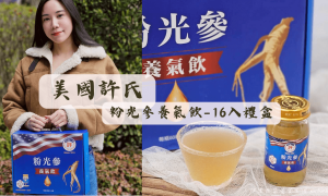 美國許氏粉光參養氣飲_16入禮盒_好藥坊聯盟藥局_養生禮盒_健康禮盒推薦_人蔘飲推薦_人蔘禮盒