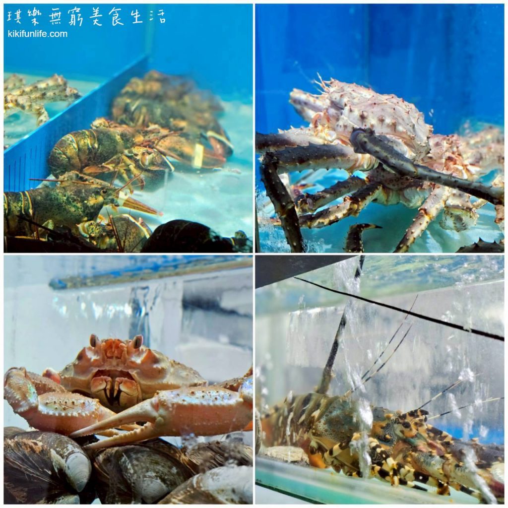 台中鐵板燒推薦_森鐵板燒_台中高級餐廳推薦_台中美食推薦_活體海鮮_龍蝦_帝王蟹_雪場蟹