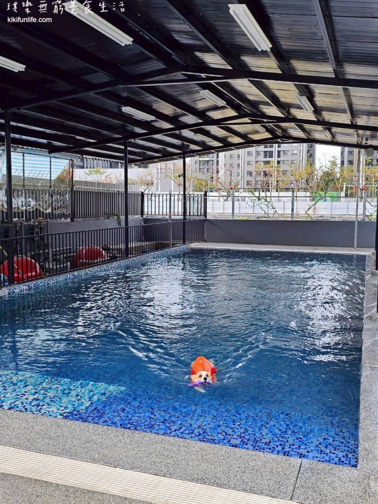 野沐私房菜_台中寵物餐廳推薦_台中寵物泳池餐廳_台中狗狗可以游泳的餐廳