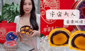 宇宙夫人_桃園蛋黃酥禮盒_中壢伴手禮_中秋禮盒推薦