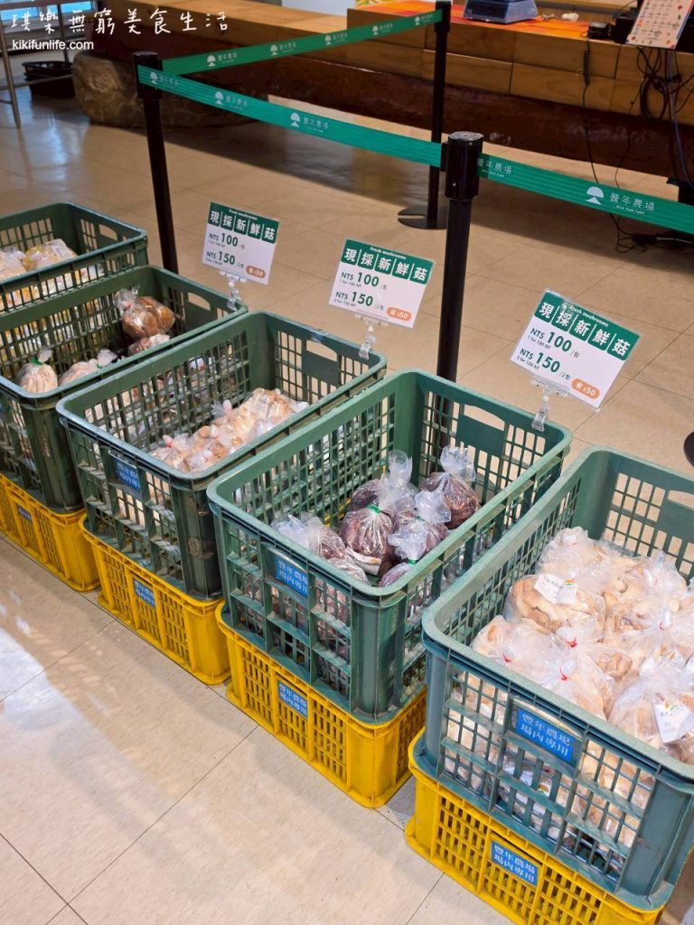 南投景點推薦_豐年靈芝菇類生態農場_豐年農場_埔里免費景點_新鮮菇類