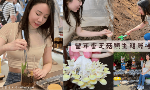 豐年靈芝菇類生態農場農場_南投免費景點_埔里景點_菇菇主題休閒農場