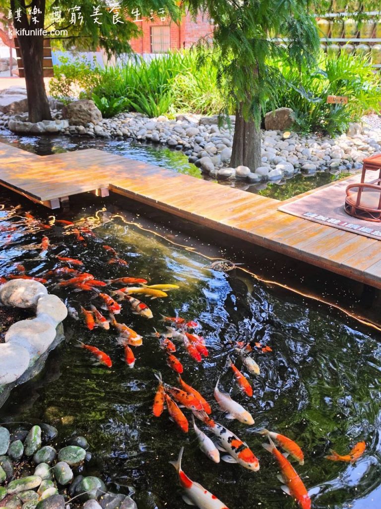虎珍堂森之院_雲林虎尾伴手禮_庭園錦鯉池與落羽松