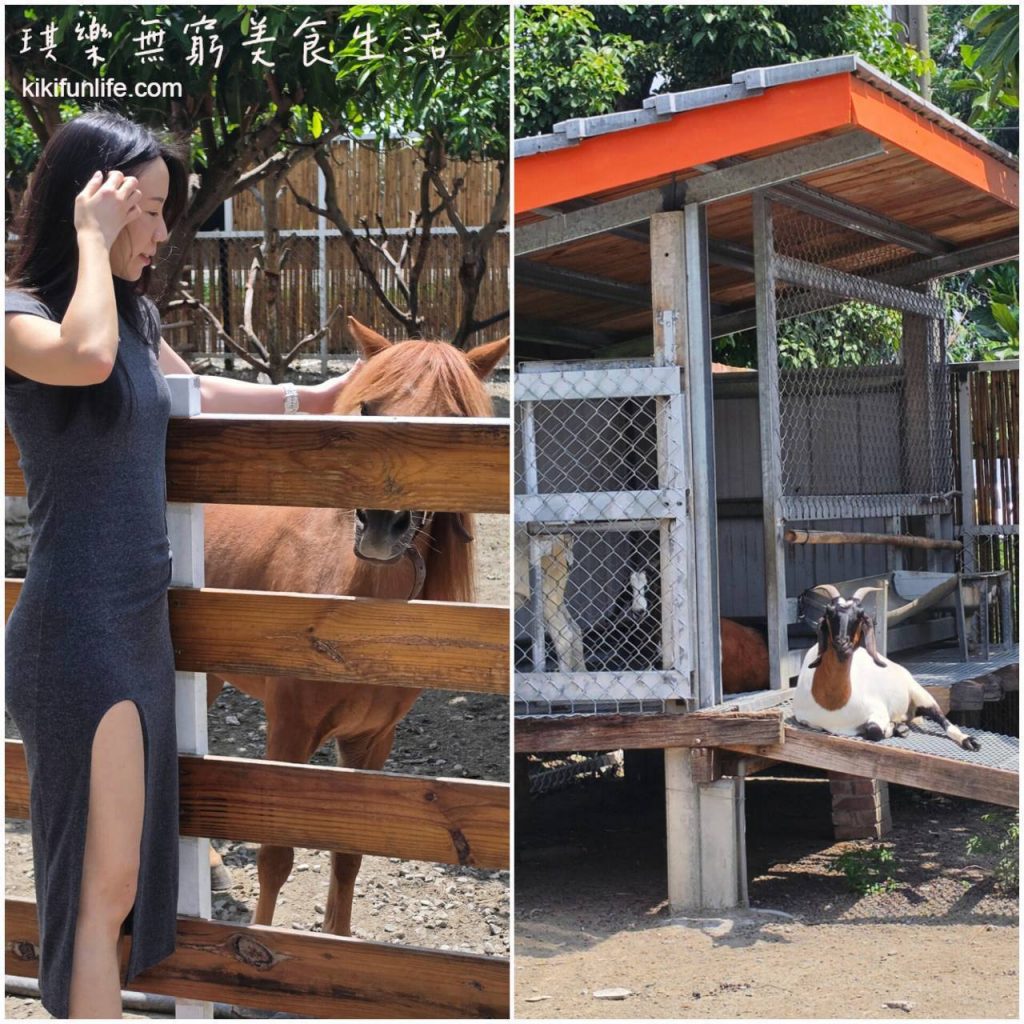 虎珍堂森之院_親子景點_可愛動物區小羊與迷你馬